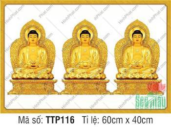 Tam Thế Phật đẹp TTP116, sắc vàng kim ngự sen nền trắng