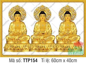 Tam Thế Phật đẹp TTP154, sắc hoàng kim tôn nghiêm thanh tịnh