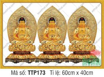Tam Thế Phật đẹp TTP173, bộ ba bức họa hào quang ren bồ đề
