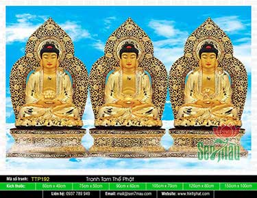 Tam Thế Phật đẹp TTP192