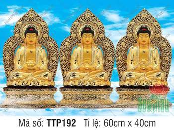Tam Thế Phật đẹp TTP192, bộ ba vị sắc vàng hào quang lá đề chạm trổ