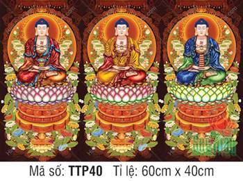 Tam Thế Phật đẹp TTP40, Ba Đức Phật Tọa Thiền Trên Đài Sen