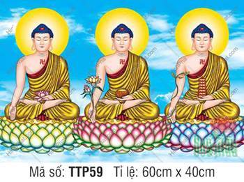 Tam Thế Phật đẹp TTP59, họa ba Đức Phật mặc y vàng ngự tòa sen
