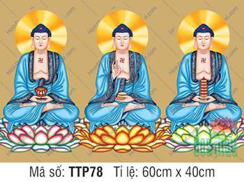 Tam Thế Phật đẹp TTP78, ba vị Thế Tôn khoác áo xanh dương