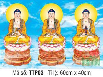 Tam Thế Phật đẹp nhất TTP03, ba Đức Phật ngự sen hồng