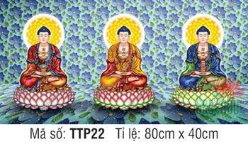 Tam Thế Phật đẹp nhất TTP22, ba Đức Phật ngự nền hoa xanh