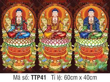 Tam Thế Phật đẹp nhất TTP41, họa ba Đức Phật diện y tam sắc