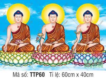 Tam Thế Phật đẹp nhất TTP60, ba Đức Phật ngự đài sen tam sắc
