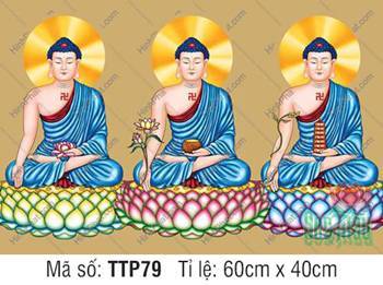 Tam Thế Phật đẹp nhất TTP79, đồng nhất sắc y sọc hở vai