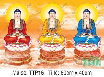 Tranh Tam Thế Chư Phật TTP16, Hình Phật Tam Thế khoác áo ba màu