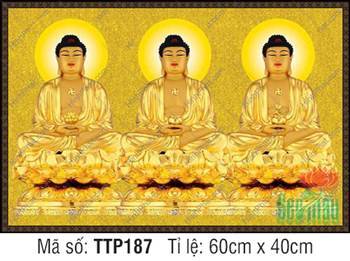 Tranh Tam Thế Chư Phật TTP187, sắc vàng hào quang tròn thanh tịnh