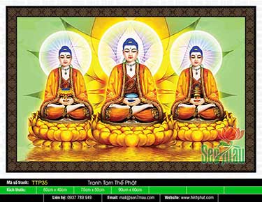 Tranh Tam Thế Chư Phật TTP35