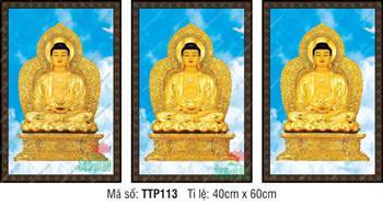 Tranh Tam Thế Nhất Thiết Chư Phật TTP113, rực rỡ sắc vàng kim