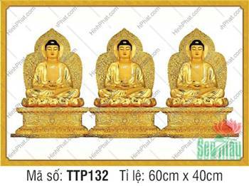 Tranh Tam Thế Nhất Thiết Chư Phật TTP132, họa tiết khung viền vàng