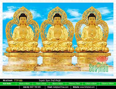 Tranh Tam Thế Nhất Thiết Chư Phật TTP189