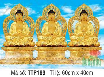 Tranh Tam Thế Nhất Thiết Chư Phật TTP189, ba vị Phật nền trời mây