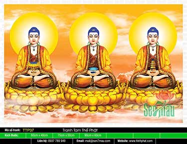Tranh Tam Thế Nhất Thiết Chư Phật TTP37