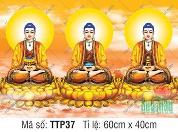Tranh Tam Thế Nhất Thiết Chư Phật TTP37, ba Đức Phật tọa sen vàng