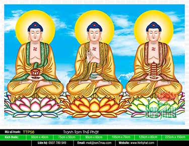 Tranh Tam Thế Nhất Thiết Chư Phật TTP56