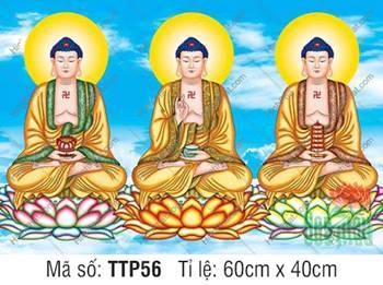 Tranh Tam Thế Nhất Thiết Chư Phật TTP56, ba Đức Phật khoác y vàng