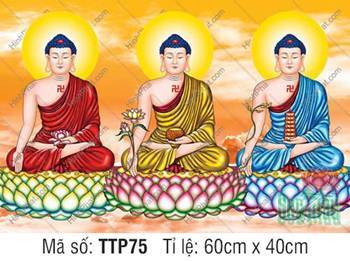 Tranh Tam Thế Nhất Thiết Chư Phật TTP75, ba Đức Phật y phục ba màu