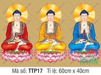 Tranh Tam Thế Phật Size Lớn TTP17, ba màu áo cà sa ngự tòa sen hồng