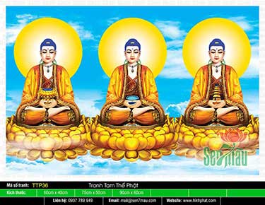 Tranh Tam Thế Phật - Size Lớn TTP36
