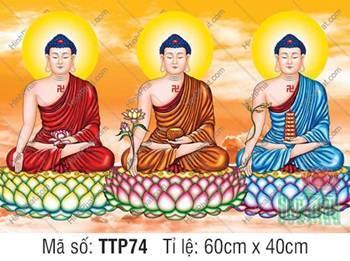 Tranh Tam Thế Phật Size Lớn TTP74, sắc y phục ba màu rực rỡ