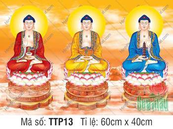 Tranh Tam Thế Phật TTP13, ba vị Phật khoác áo ba màu sắc nét