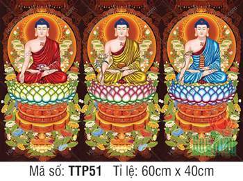 Tranh Tam Thế Phật TTP51, ba Đức Phật khoác y phục ba màu