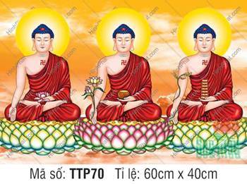 Tranh Tam Thế Phật TTP70, sắc áo cà sa đỏ trầm thành kính