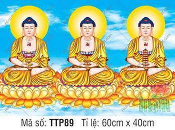 Tranh Tam Thế Phật TTP89, ba vị Thế Tôn đắp áo y vàng đồng màu