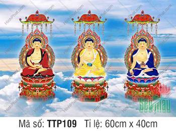 Tranh Tam Thế Phật đẹp TTP109, ba sắc y phục ngự tầng mây