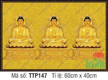 Tranh Tam Thế Phật đẹp TTP147, họa tiết gấm vàng hoàng kim