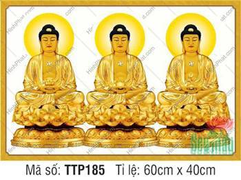 Tranh Tam Thế Phật đẹp TTP185, bộ ba bức họa hào quang tròn vàng