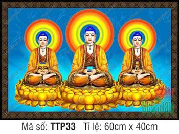 Tranh Tam Thế Phật đẹp TTP33, ba vị Phật ngự đài sen vàng