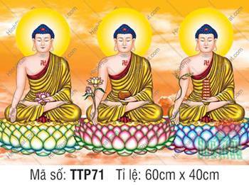 Tranh Tam Thế Phật đẹp TTP71, ba Đức Như Lai khoác sắc y vàng