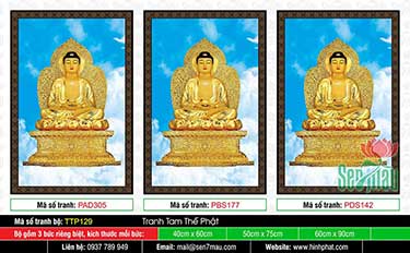 Tranh Tam Thế Phật đẹp nhất TTP129