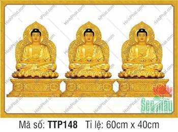 Tranh Tam Thế Phật đẹp nhất TTP148, sắc hoàng kim tôn nghiêm