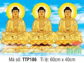 Tranh Tam Thế Phật đẹp nhất TTP186, ba vị sắc vàng nền trời xanh mây