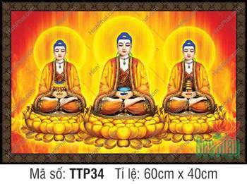 Tranh Tam Thế Phật đẹp nhất TTP34, ba vị Phật ngự đài sen vàng