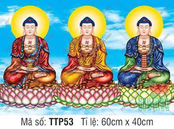 Tranh Tam Thế Phật đẹp nhất TTP53, ba ngôi Đức Phật ngự đài sen