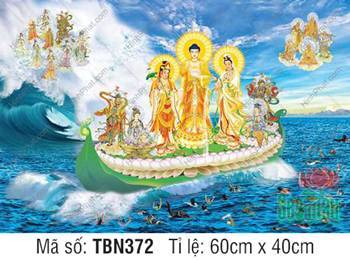 Hình Thuyền Bát Nhã đẹp TBN372, Đức Phật khoác y giáo vàng rực