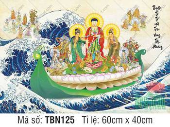 Thuyền Từ Tế Độ TBN125, sắc y đỏ phối xanh lục đầy trang nghiêm