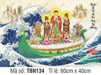 Thuyền Từ Tế Độ TBN134, Tây Phương Tam Thánh mặc áo gấm nâu