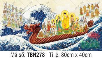 Thuyền Từ Tế Độ TBN278, điểm nhấn sắc áo vàng rực tỏa sáng