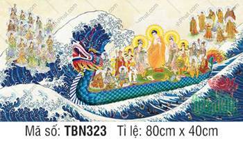 Thuyền Từ Tế Độ TBN323, sắc áo cà sa màu cam rực rỡ Thuyền Từ Tế Độ TBN323, sắc áo cà sa màu cam rực rỡ