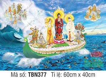 Thuyền Từ Tế Độ TBN377, tranh Tây Phương Tam Thánh cứu độ chúng sinh