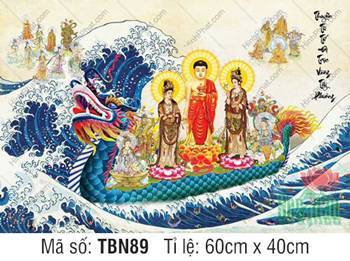 Thuyền Từ Tế Độ TBN89, tôn nghiêm sắc áo đỏ phối y phục nâu Thuyền Từ Tế Độ TBN89, tôn nghiêm sắc áo đỏ phối y phục nâu