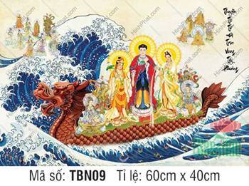Thuyền Từ Tế Độ Trực Vãng Tây Phương TBN09, Đức Phật mặc áo phối xanh Thuyền Từ Tế Độ Trực Vãng Tây Phương TBN09, Đức Phật mặc áo phối xanh